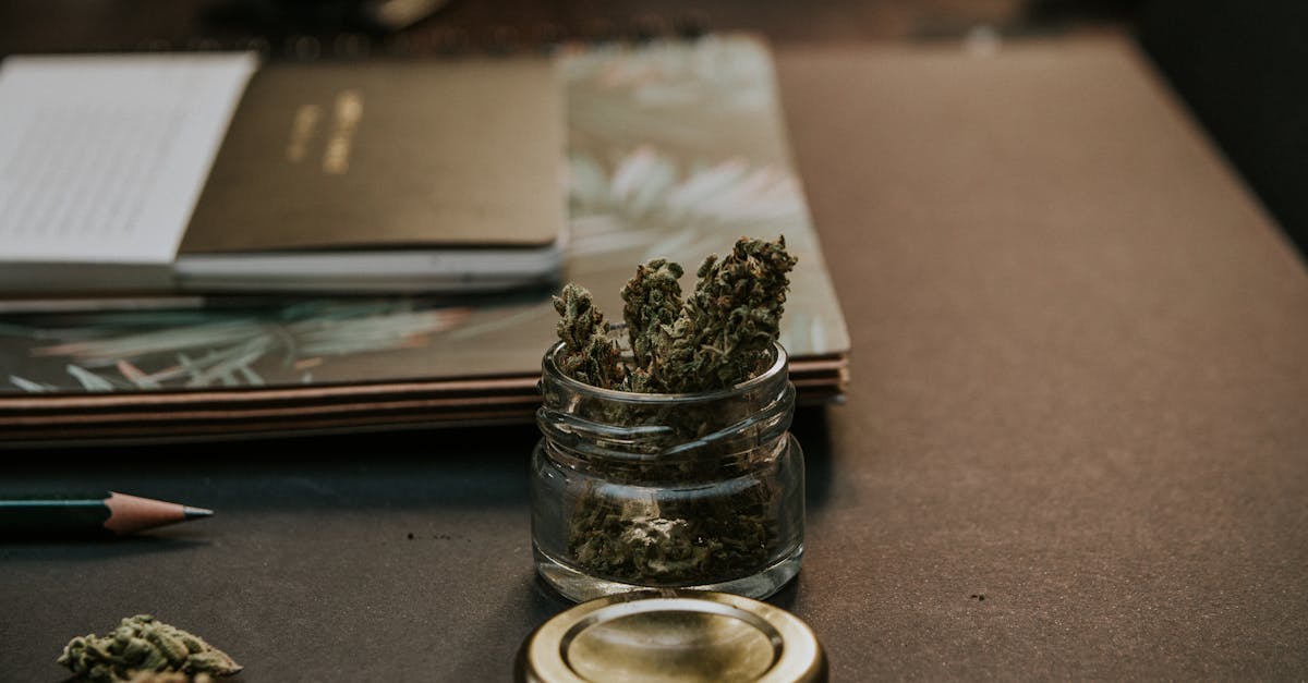 Online Retailers Offering a Wide Selection of Cannabis Accessories in Brantford